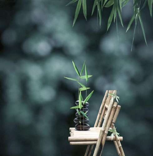 محمد قائمی سرمست