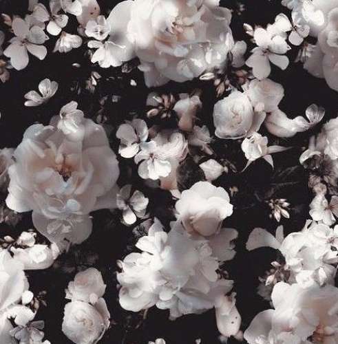 اهنگ وقت ندارم همیشه برا پارتی وقت ندارم همیشه برا بام بام بام