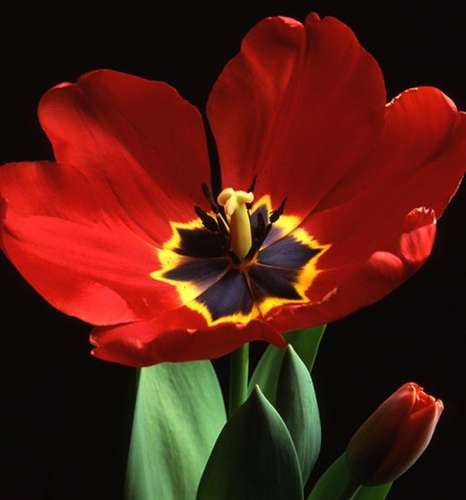 اهنگ میکنم ملاحظت یه خواهش دارم ازت نیا جلو چشمام فقط همین