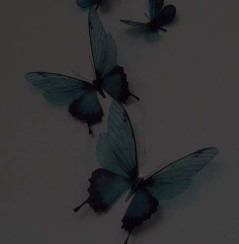 اهنگ اگه حساسم سر تو نمیخوام بدتو این که حسادت نیست بی من اگه تو