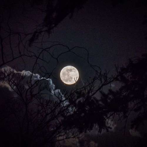 اهنگ کاش میشد برگردی باز تورو بدجوری قلبم نیاز داره چی شد فرق کردی