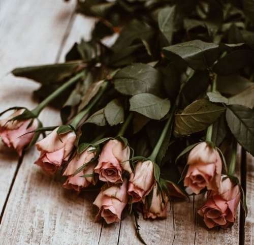 اهنگ میشه بازم باهم حرف بزنیم میشه گاهی بهم سر بزنیم