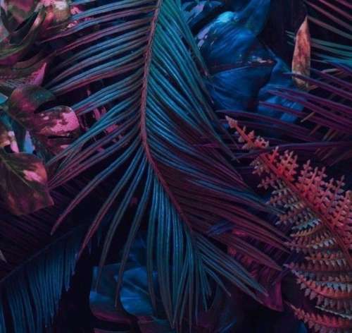 اهنگ کمیابه عشقمون قدرشو بدون اگه رفتن همه تو اینجا بمون دختر زمستون