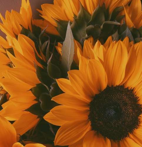 اهنگ من برات کم نمیزارم ایندفعه کم نمیارم توی این کوچه ها