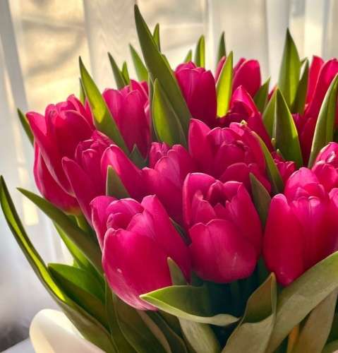 اهنگ آخه تو هرکاری کنی قلبم با تو یکی در نمیوفته روزایی که بد بودیم