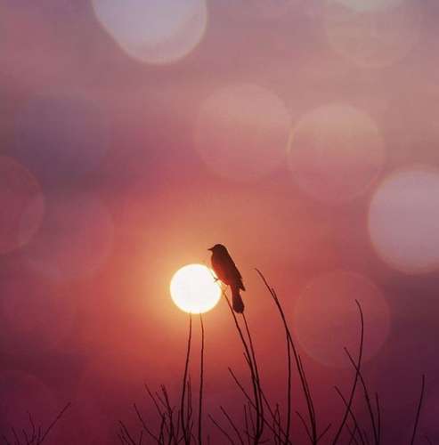 اهنگ الان نیمه شبه ولی هنو به یادتم نترس از تنهایی بیبی تنهایی مال من