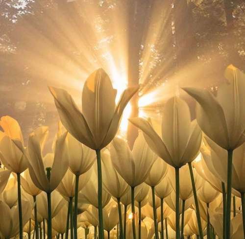 اهنگ آخرین بار بود نمیدونستی آخرین باره چشماتو میبینم و این دیدن عالمی داره