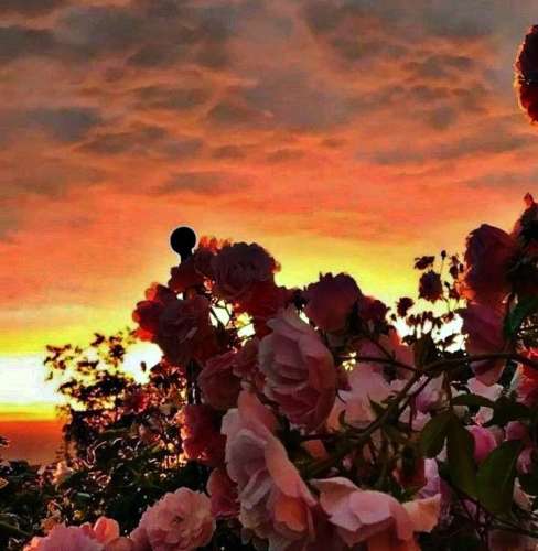 اهنگ تورو میخوام هنوز تا پای جون بذار دورت بگردم من یه دم