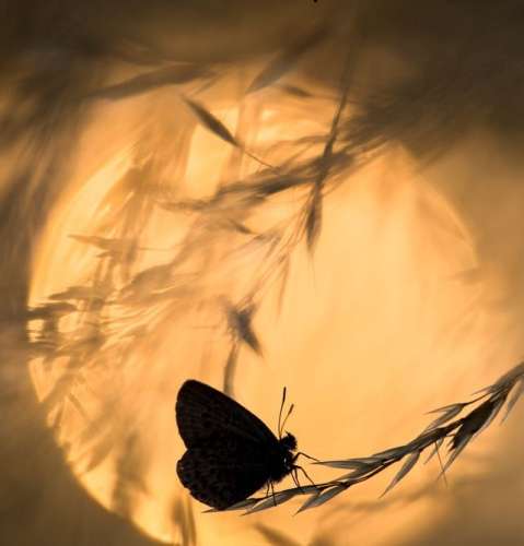 اهنگ دلم بدجوری تنگ شده برات ولی محاله برگشتن هرچی گفتم گوش نکردی