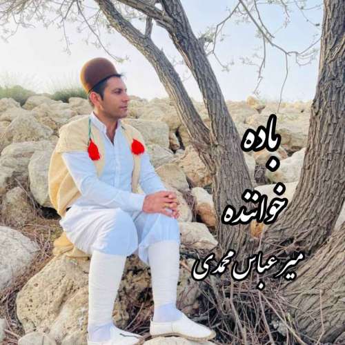 میر عباس محمدی باده