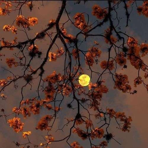 اهنگ هرچی بگی باهات راه میام انگار عاشق شدمو