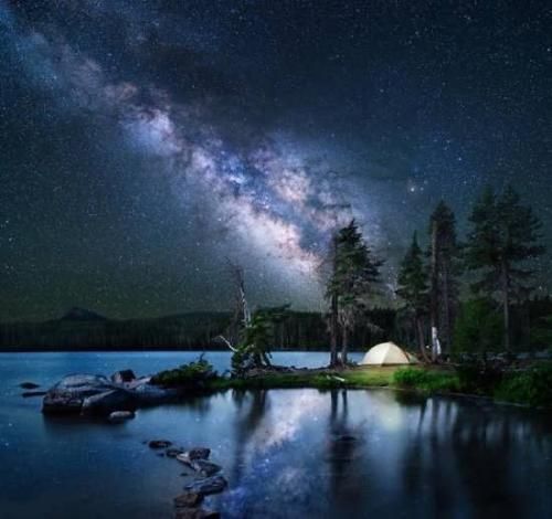 سیجل و د دن تا خود فردا