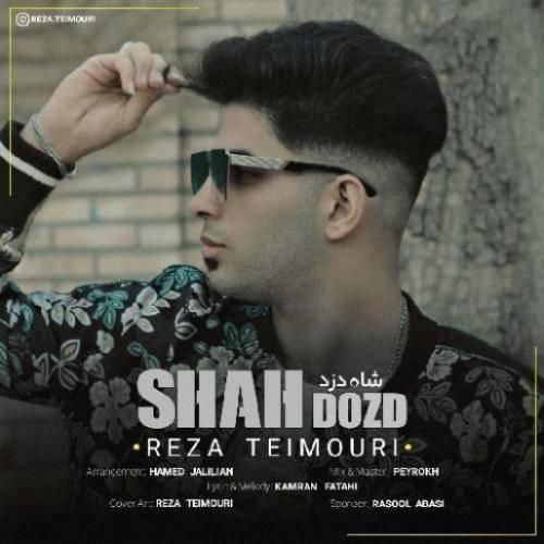 رضا تیموری شاه دزد