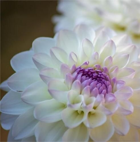 اهنگ نشد بیام وقتی که دوست داشتی کنارت باشم جوری که خواستی