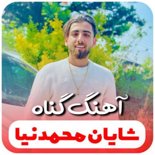 شایان محمدنیا گناه