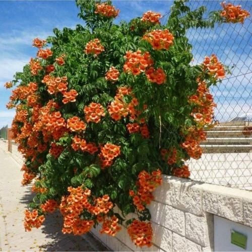 اهنگ برو دیگه نده بهم تکست و اسممو بزار اکسو اصلا از وسط عکسامونو نصف