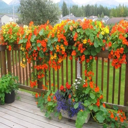 اهنگ آخه دیگه کیه که بتونه جای تورو واسم بگیره