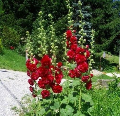 اهنگ عشقمون چه خوشگله بمون یه قول بده بهم دلم شه خوش بهت