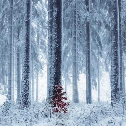 هر چقدر نگاهت میکنم واسه من کمه باز