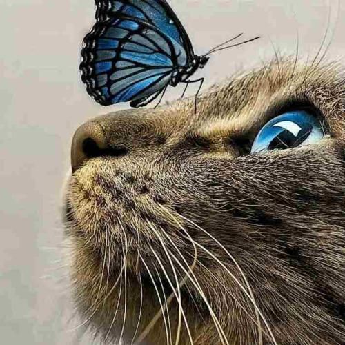 به این پی بردم دل تو سنگ بود ولی برعکس دل من تنگه