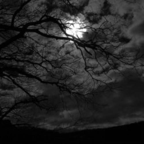 از تو گله ای نی طبیعت آدما اینه ترند اینستایی