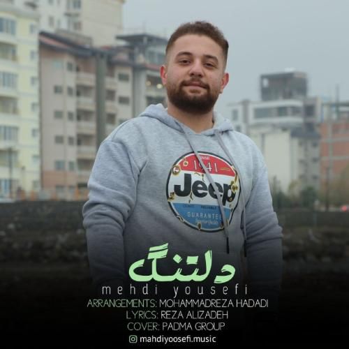 مهدی یوسفی دلتنگ