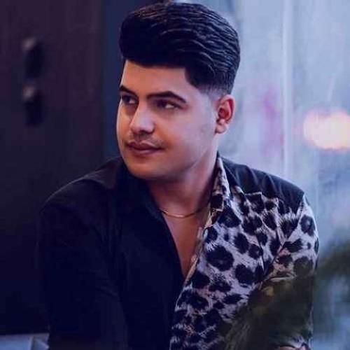 امیرحافظ رنجبر قناری