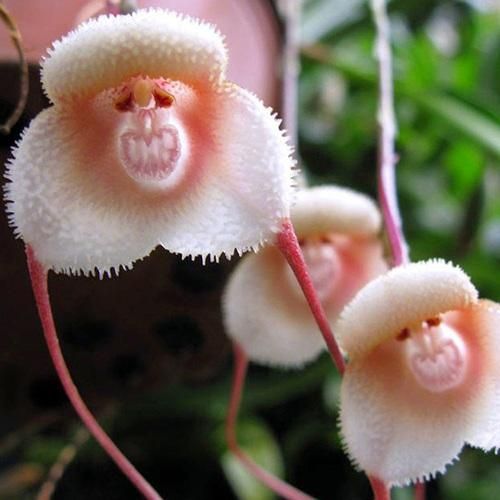 از تو گله ای نیست طبیعت آدما اینه