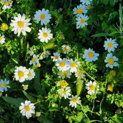 دیگه من نیستم مراقب خودت باش دیگه عوض نشو ترند اینستایی