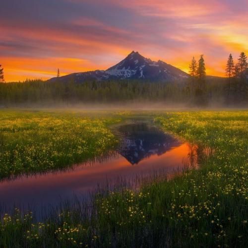 داشی بیا اینا رو جم کن داشی