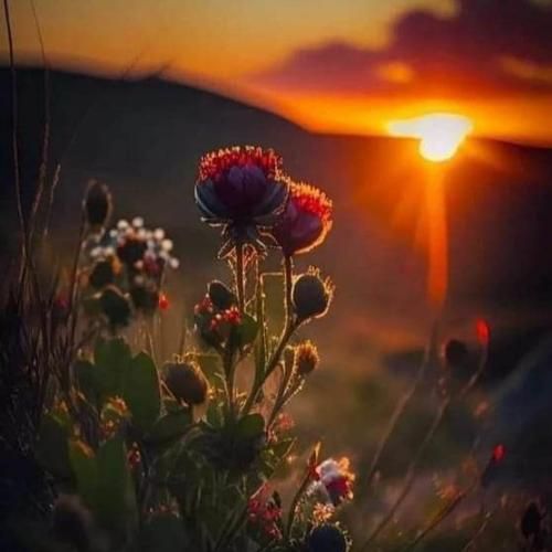  اسمت قسم سختم نازتو میخرم تمام گره خوردی به بختم