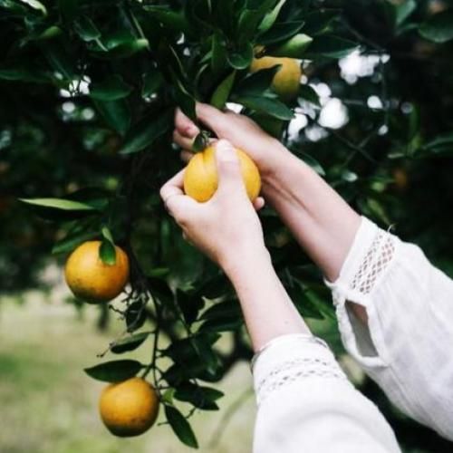  بگو که تو هم مثل من هم زبونی نداری