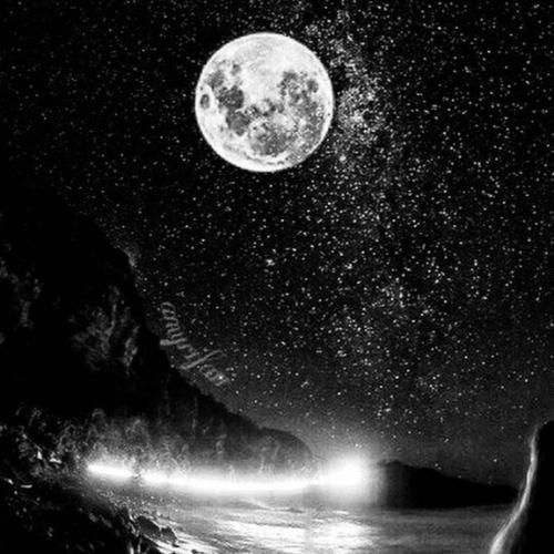 چقد دور تو گشتم یوقت نگیرتت تور فردای بدو ترسیدی ازش