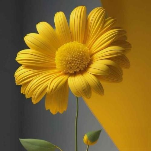 گفتی بیا بیقرار انگار که اومد بهار ترند اینستایی