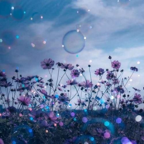 تو به جای منم داری زجر میکشی یکی عاشقته که