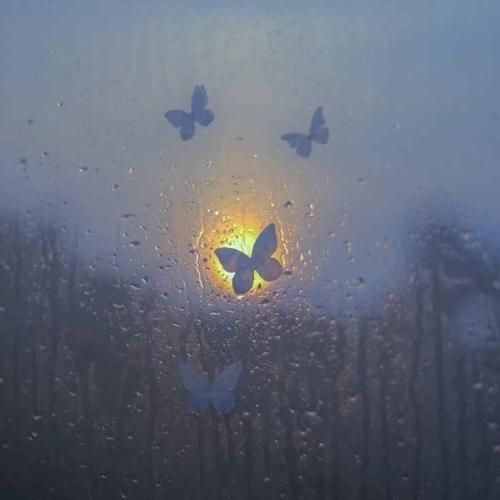 فک کن دعوتت کنه اون شب عروسیش