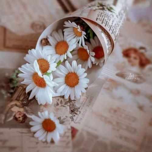  چشاتو باز کن یه لحظه مال من باش