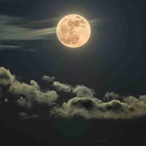 آدما اشتباه میکنن منم اشتباه کردم فکر کردم اگه تلاش کنم درست میشه