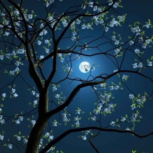 هم فکری هم جسمی هم خواستیم هم تونستیم