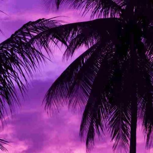  انقد شیرینه فرهادم بشنوه ازش از سر و بدنش