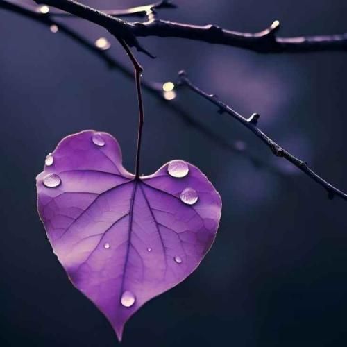 این همه انتظارو نقش بر آبش نکن