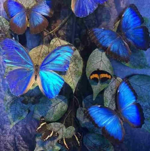  مگه نمیگفتی اشتباه میکنی تو رفتی ولی هنو