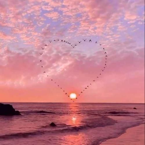 میبرمت بالا آ سیصد و هشتاد چمدون پُر باز