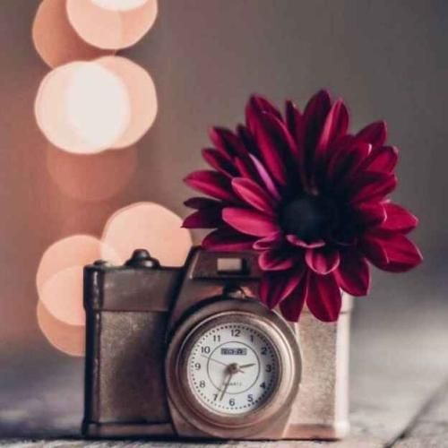  کجا باید برم زیر تیر چراغ برق یه صبر ازت