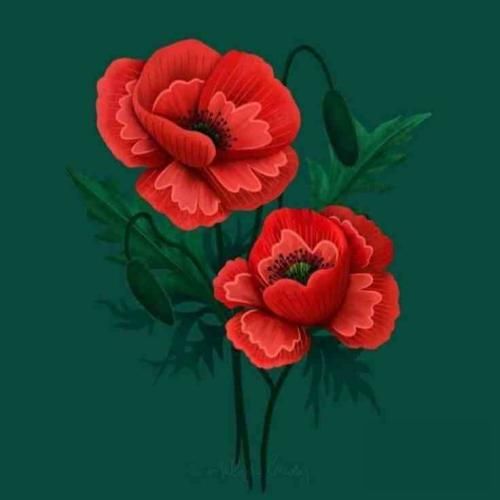  اگه طوفانی من گردشم اگه سرطانی من دردشم