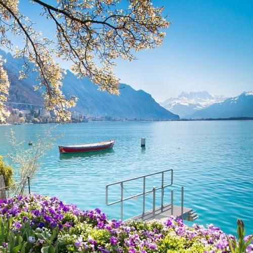 رفیق جات خالیه بخدا یعقوب جات خالی با صدای بچه