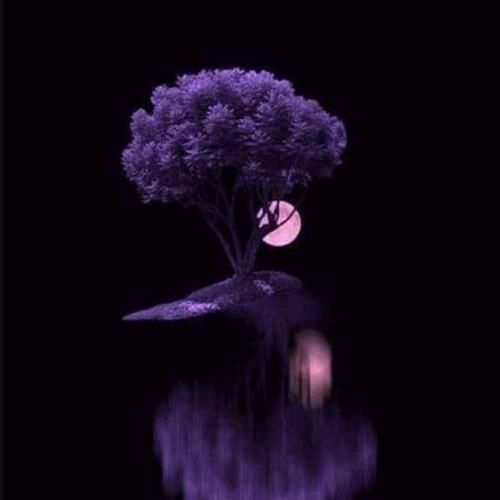 بله قربان گفتین تازه دارن به ما میگن چشم سلطان