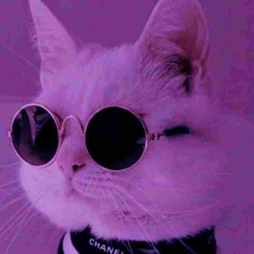 به مادرم بگین چشم به راه نباشه