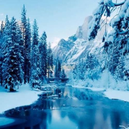 کوروش زبانو جر میده