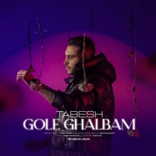 تابش گل قلبم